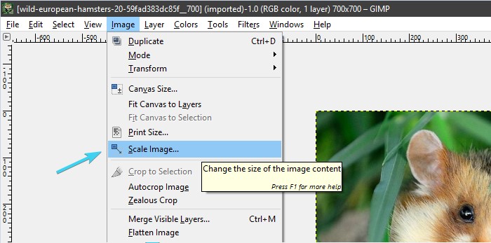 Top 5 Solutions To Resize Image Without Losing Quality [Windows/Mac ...