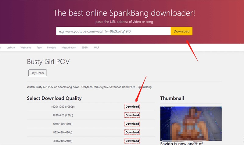 spangbang downloader